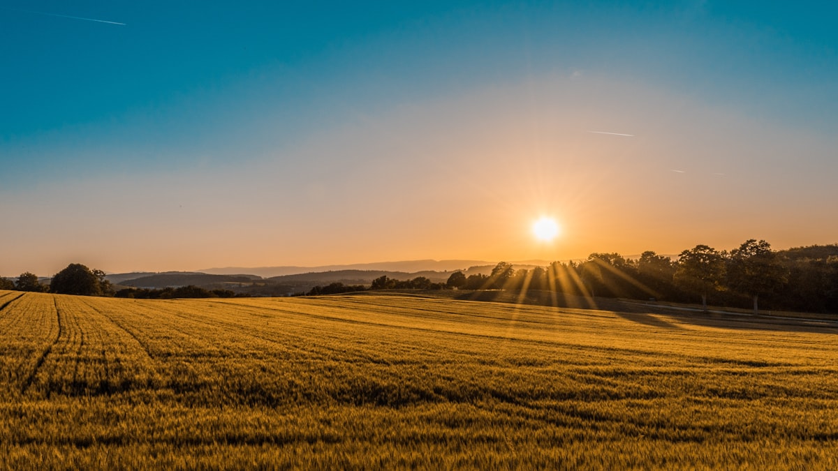 Scenic open countryside and warm sunset light in Texas Hill Country